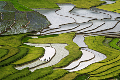 冒气苏打采集到风景