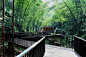 贵州赤水竹海国家森林公园