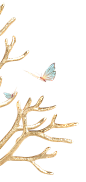 金色珊瑚-蝴蝶
