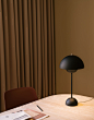 丹麦&Tradition 花苞台灯FLOWERPOT VP3带线 多色 卧室客厅北欧风-淘宝网