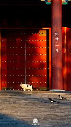 故宫 - 堆糖，美图壁纸兴趣社区
