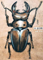 来自分享