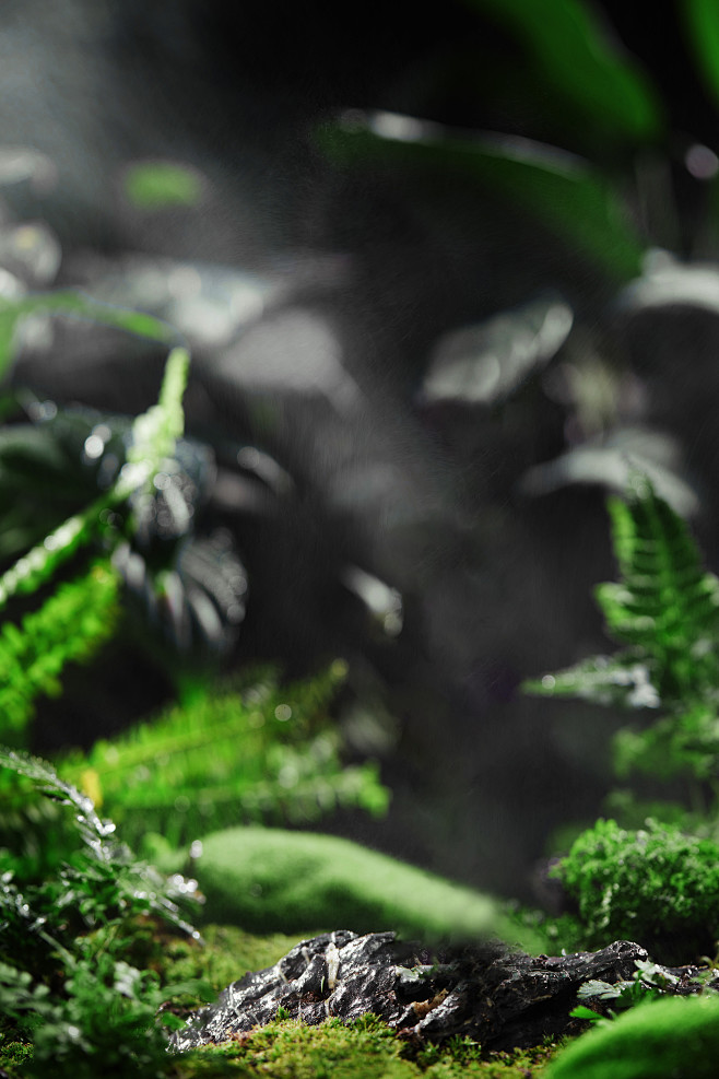 背景