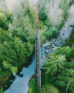 森林 【酷图网】自然景观,森林风景,行道树,行道树风景,自然风景,唯美风景,风景图片,风景壁纸,大自然风景,自然风光,大自然风光,唯美图片,唯美壁纸,创意图片,花草树木,电脑壁纸,美景图片,美景壁纸,旅游风景,森林,森林景观,森林植物,风景名胜,花草,树木,大树,树干,丁达尔光效