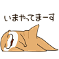 [LINEスタンプ] ゆれる こつめってぃ 02 (1)