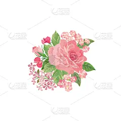 花束,边框,分离着色,可爱的,白色,华丽的,周年纪念,问候,花,生长