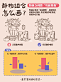 插画教程|✅3步学会插画静物组合画法