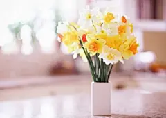 以恬淡的模样，经历烟雨尘风的袭击，还原初时的自己。