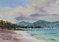 Paintings by Poppy Balser   I love these colors.....