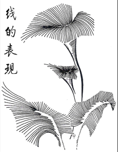 SAkurai采集到简单线描