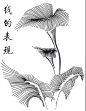  #手绘#