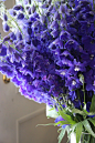 Flowers In Purple