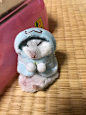 最近11区流行起的仓鼠服ww【穿起来实在是太可爱了！！..(๑´ ϖ `๑) ​​​​ 饲主：はむ茶漬け、あぷはむ ​​​​