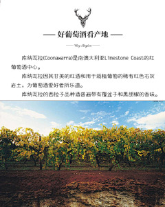 田鼠爱甜食采集到我的作品集