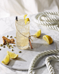 Salcombe Gin Signature Serve Start Point and Tonic