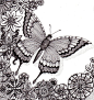 Flutter By Butterfly 25Aug12 by Artwyrd.deviantart.com on @deviantART
