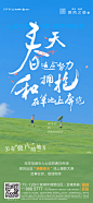 20230228摄影刷屏_画板 1 副本