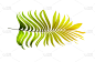 棕榈树,叶子,绿色,白色背景,西米椰子,苏铁科植物,复叶,水平画幅,spa美容,符号