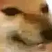 阿渗