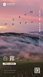 白露_封面预览图