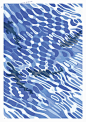 Shinmura fisheries poster. water ripple & fish : Shinmura fisheries poster. B1 size. water ripple & fish.Art Director / Norito Shinmura. Design / Kosuke Niwano. Illustrator / Hiroyuki Yamada.
