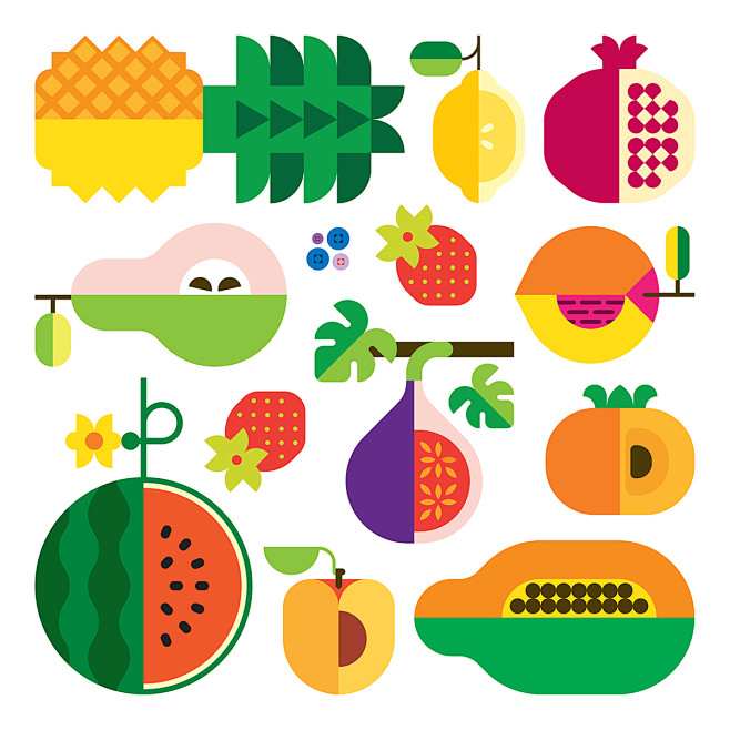 Fruit (continued) : ...