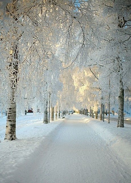  下雪的早晨，达拉纳，瑞典