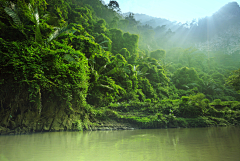 顿顿_wang采集到风景