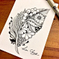 Feather Hand Drawn Zentangle Doodle Drawings. By Lisa Chang.