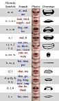 http://artist-refs.tumblr.com/post/111599029911/phoneme-chart-by-theendisnearus: 