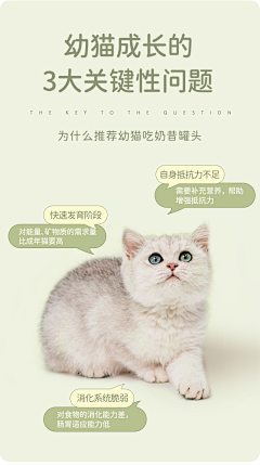 用户rYwNWEeq采集到详情页