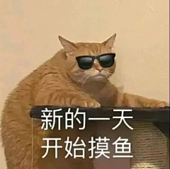 PPm9fQio采集到表情包