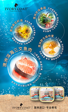 QpwnPZ8X采集到海报