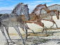 Wire Horse sculpture at Bandera Downs