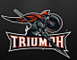 "Triumph" mascot logo based on a Spartan /Trojan warrior.