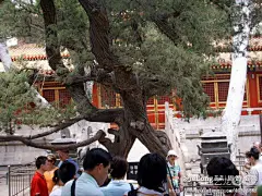 2007年6月16日游北京故宫博物院