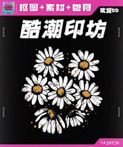创想视界设计工作室采集到【印花抠图】+CVDS1206
