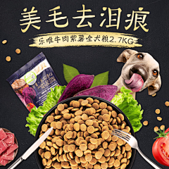 提笔画青龙采集到宠物类