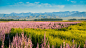 10585389_10585389_1438526169242.jpg (2400×1350)