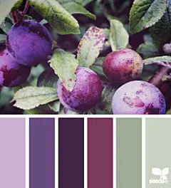 时尚配色设计方案图集丨服装产品网页室内平面海报logo图案配色