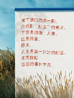 下班了宝宝采集到打卡墙