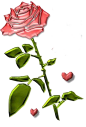 立体几何玫瑰花