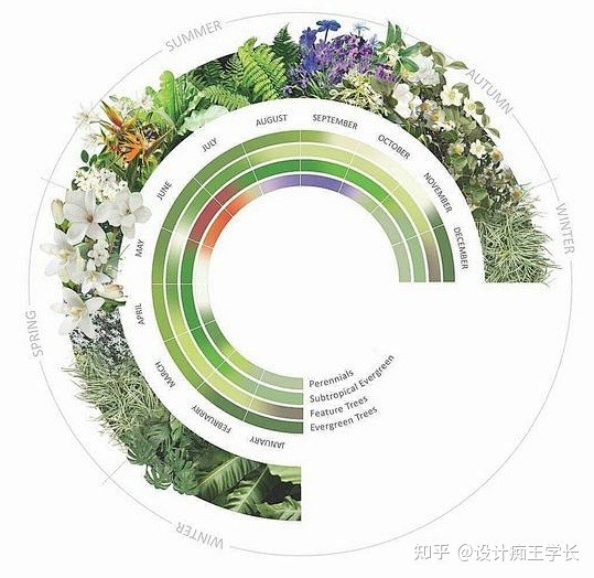 设计留学 | 植物分析与植物表现，都有哪些常见的形式？ - 知乎