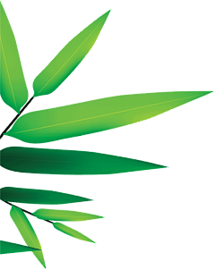 天行九霄平面设计采集到花草-点缀-免抠