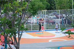 搬砖养狗采集到B意向图--运动场地