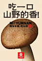 更多内容，可加林逼逼微信：big_man110