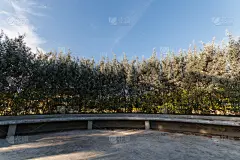 天空,臭氧层,天窗,风,气候,水平画幅,无人,纯净,夏天,户外