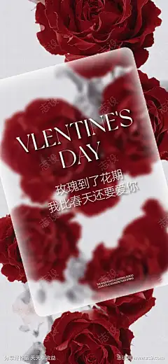 情人玫瑰花氛围感玻璃磨砂质感壁纸海报_源文件下载_AI格式_2014X4361像素-海报,壁纸,抽象,质感,磨砂,玻璃,氛围,玫瑰,情人节-作品编号:2025021414237861-志设-zs9.com