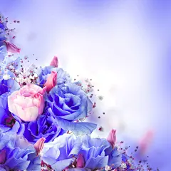 紫色鲜花背景边框图片
