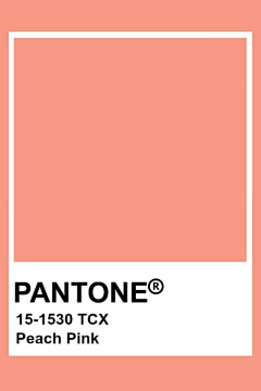 _ich06采集到PANTONE色卡